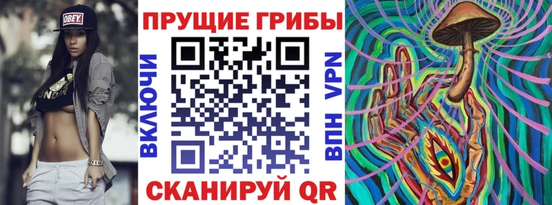 Псилоцибиновые грибы мицелий  купить закладку  Ессентукская 